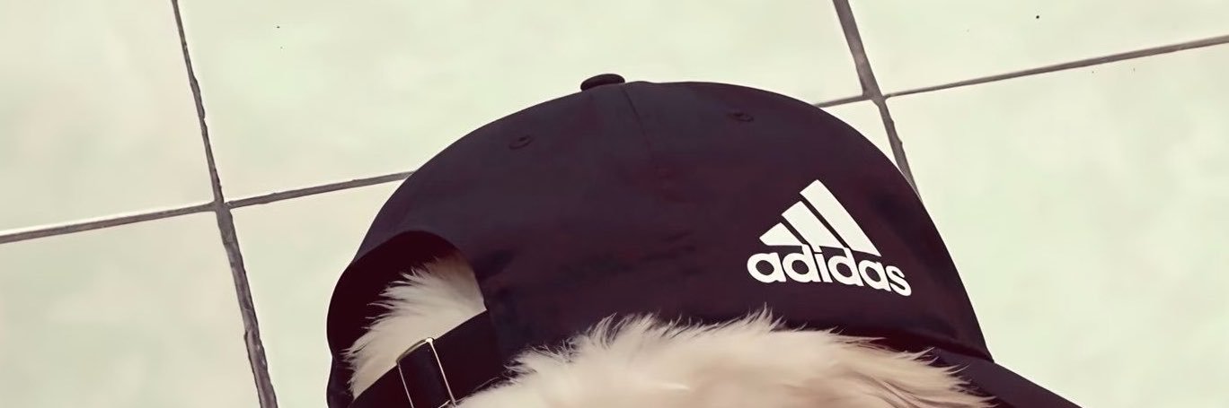 开心果's banner