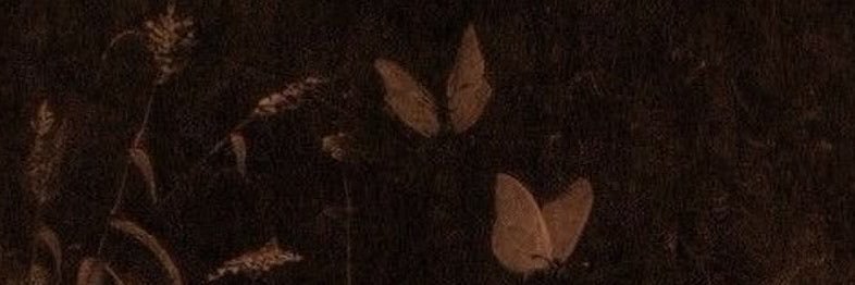 alexander ˚˖𓍢ִ໋❀'s banner