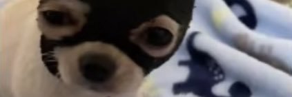 TreyWay3's banner