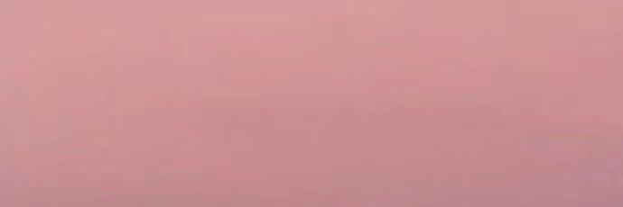 豚豚🐬's banner