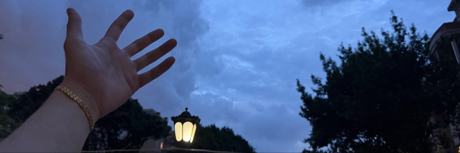 一颗🌰's banner