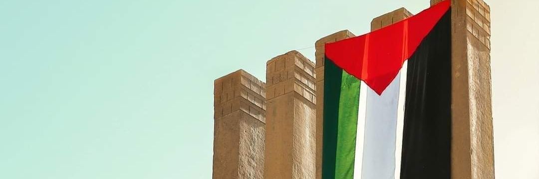 سندس فيصل's banner