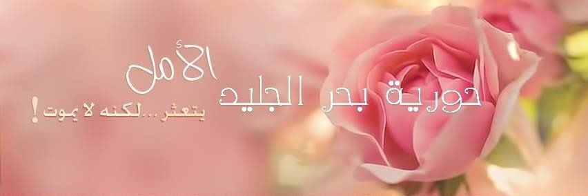 🎀حورية بحر الجليد's banner