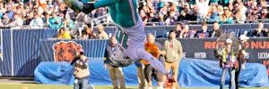 Splash and Furious 🐬's banner