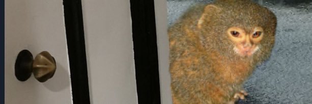 Jub's banner
