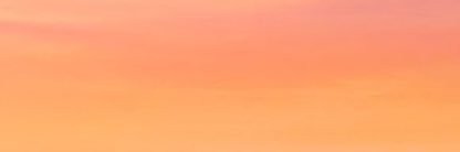 Wocc𖤐's banner
