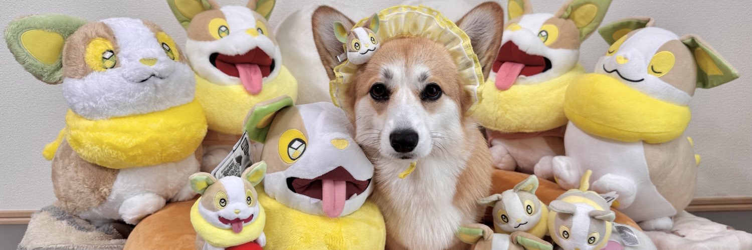 まろ眉のコパン's banner