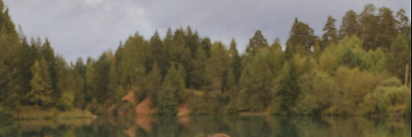 Canyon Cart's banner