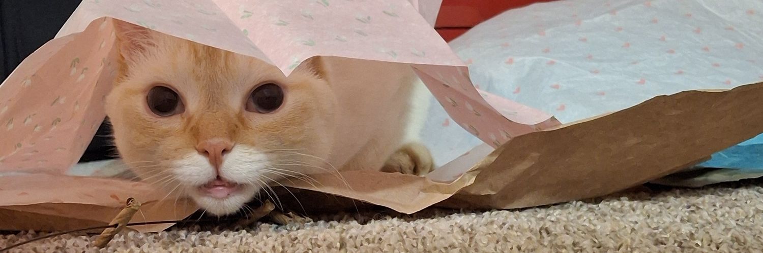 baby dog's banner