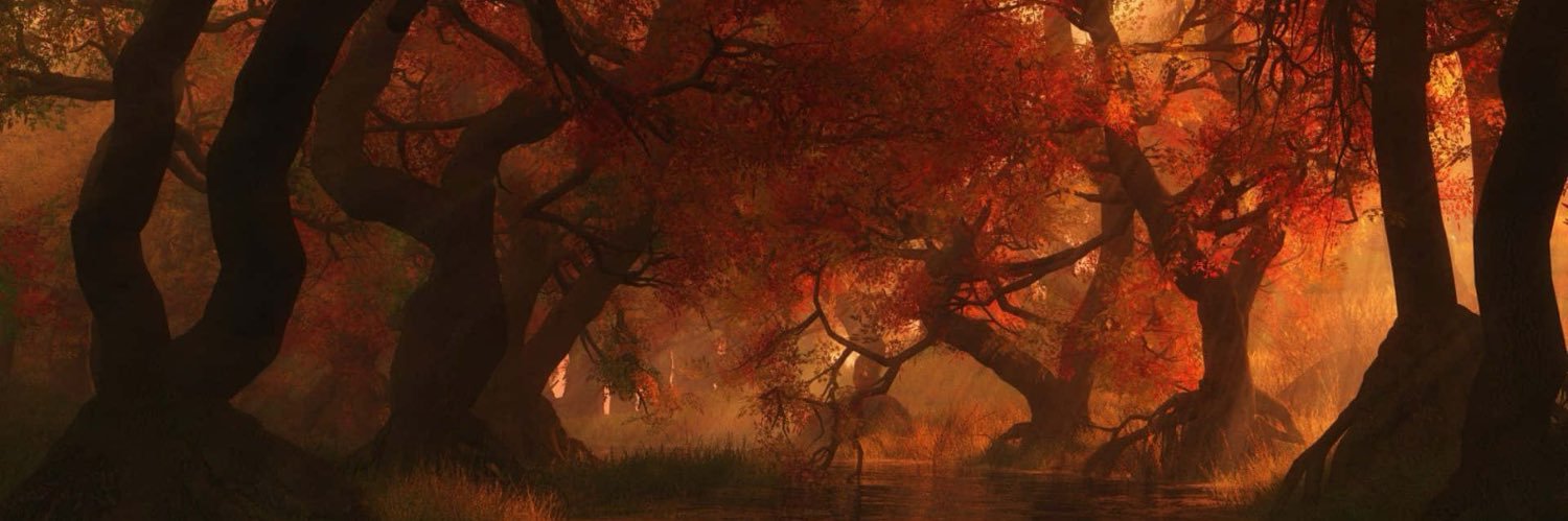 Bórem 🦇's banner