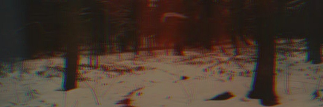 ラボースキー's banner