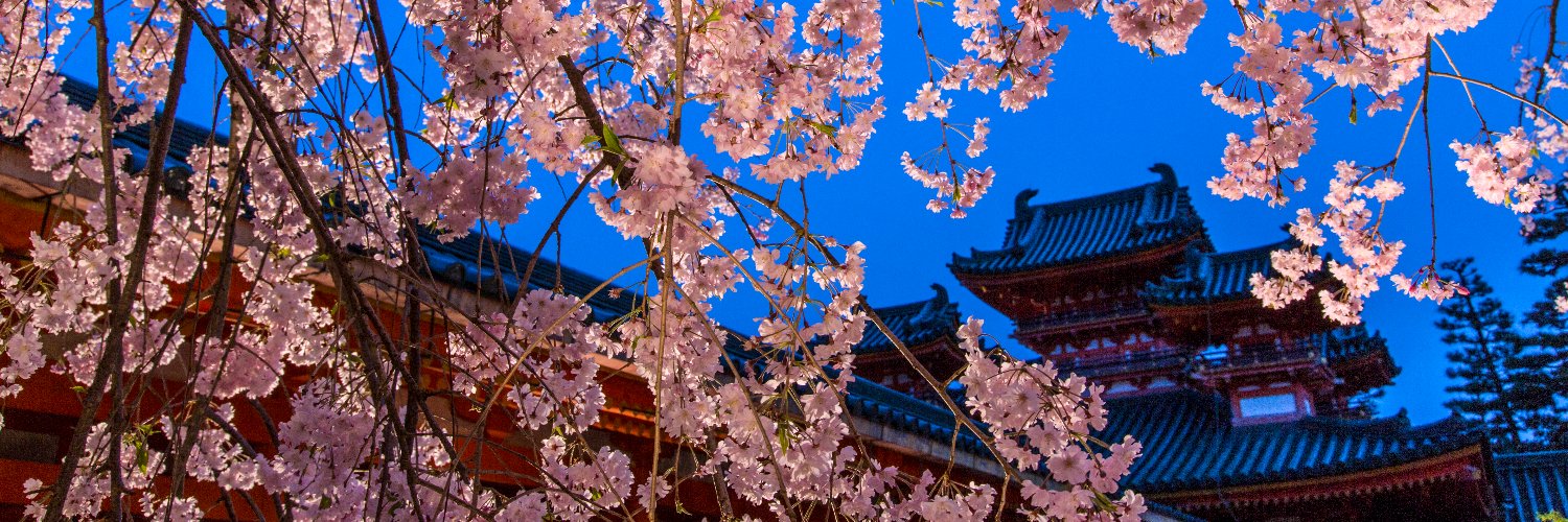 平安神宮 桜音夜's banner