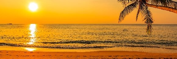 Parejaplayera (+18)🔞's banner