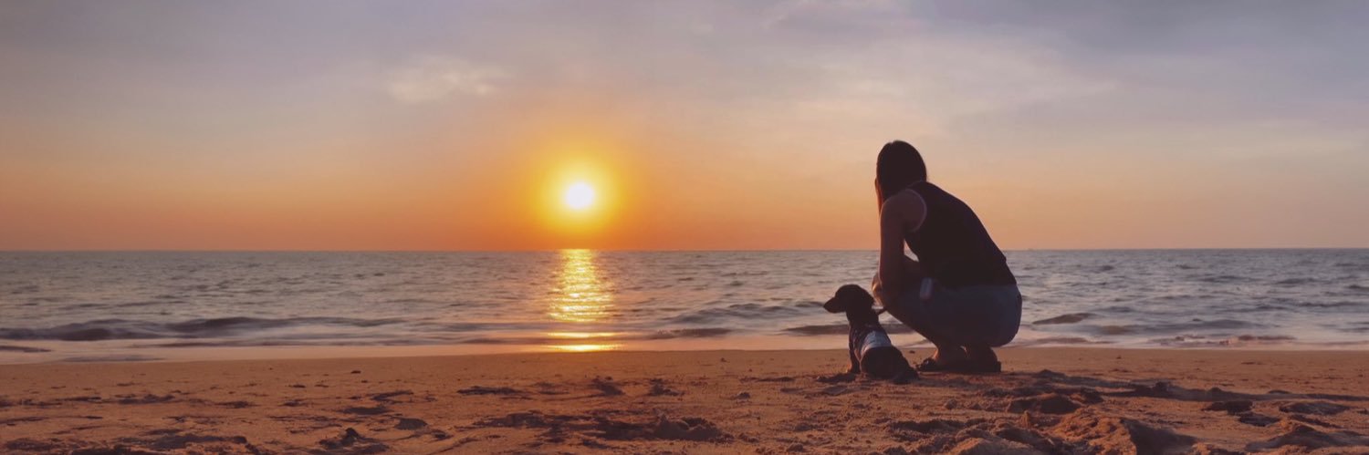 P:) | GirlFreen 🐰🌷's banner