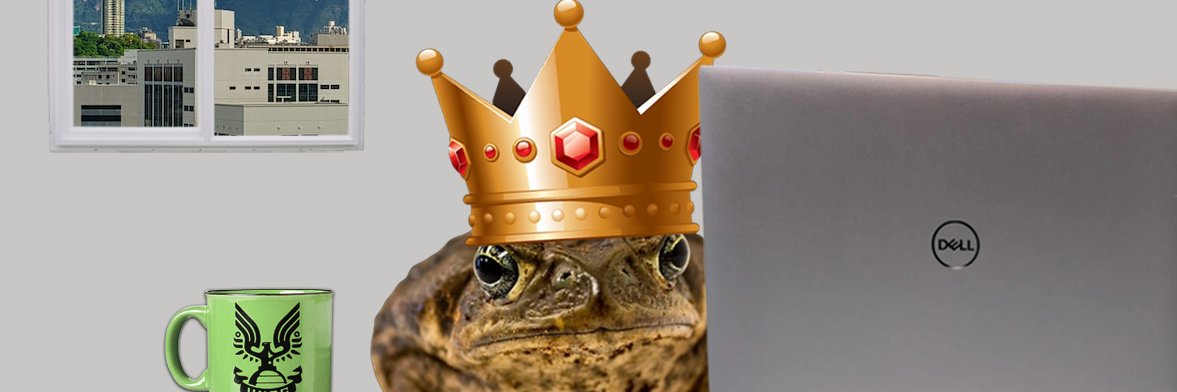 Frog's banner
