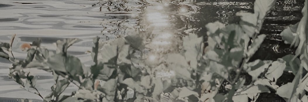 st☆rgirl's banner
