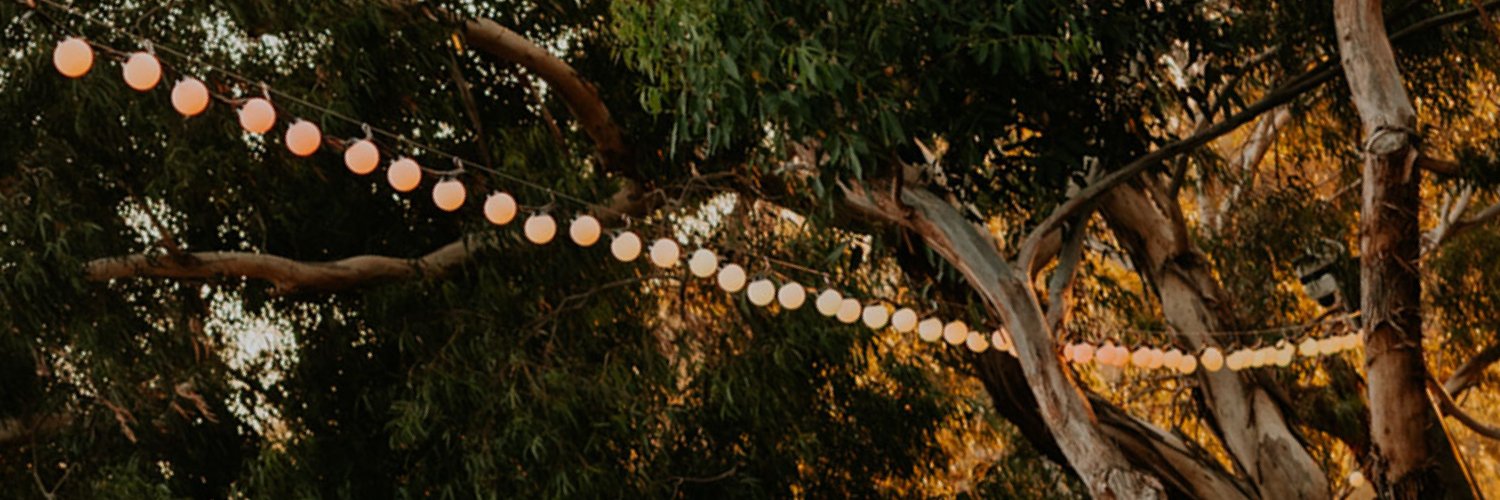 Aunty Meredith's banner