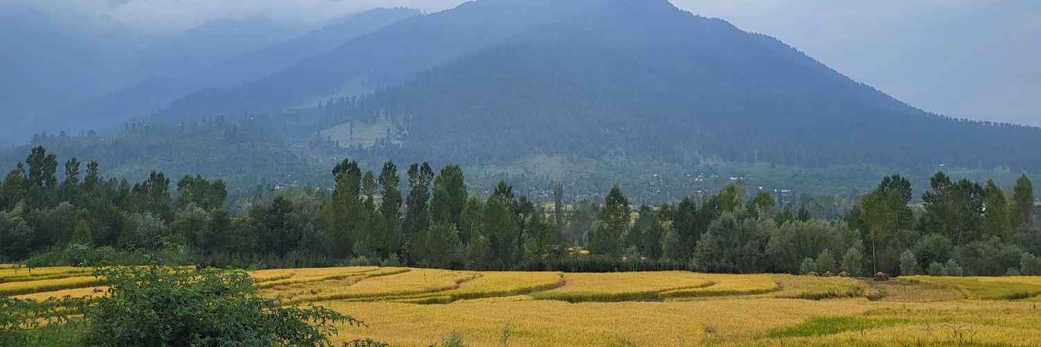 Reminiscing.Kashmir🍁's banner