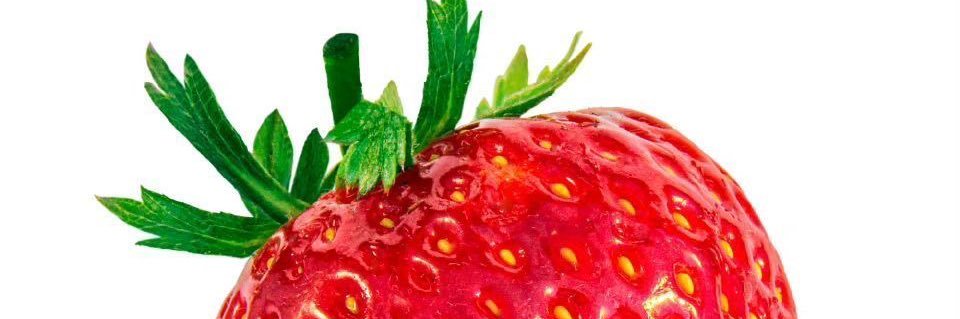 想吃草莓糖葫芦's banner