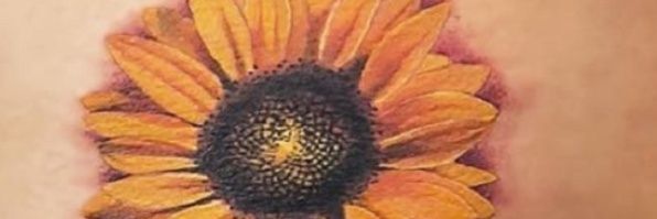 Mara juvencio's banner
