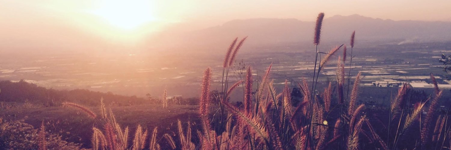 nin@ja 🐰🌻🏡🌊⛰️'s banner