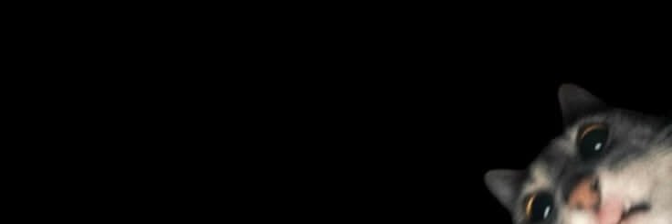 b🕯️'s banner