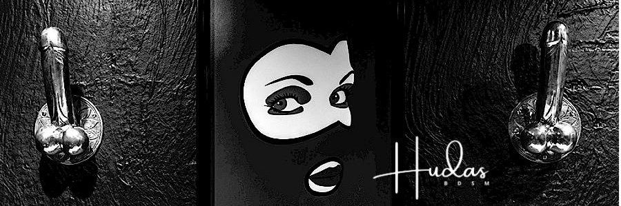 HUDAS羞辱实验室's banner