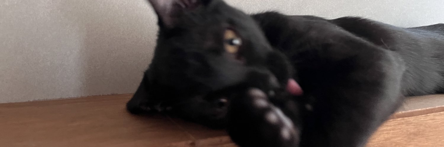 黒猫のいと's banner