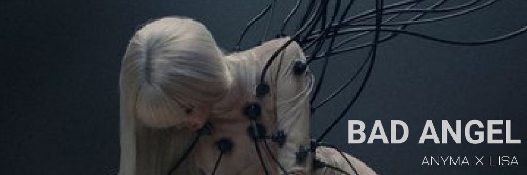 LISA Updates 's banner
