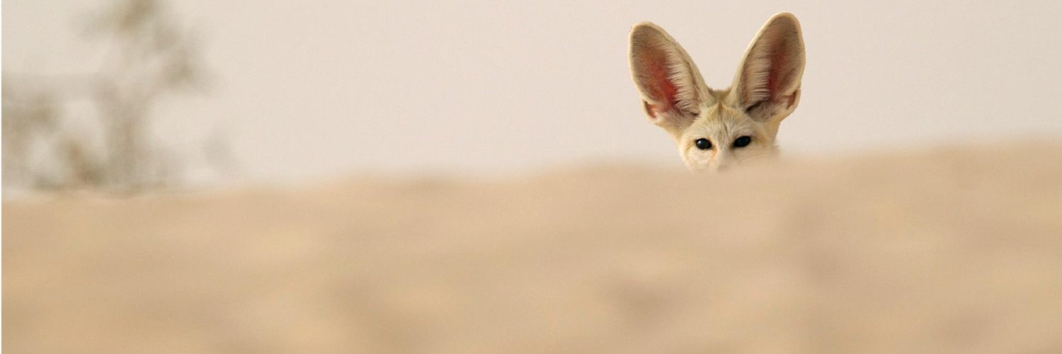 Fennec_Radar's banner