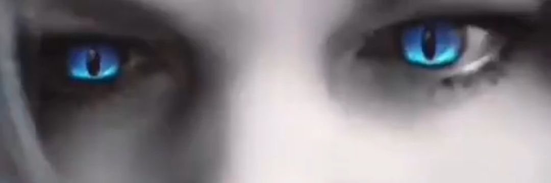🐸💮Stacy's_Perception💮🇺🇸's banner