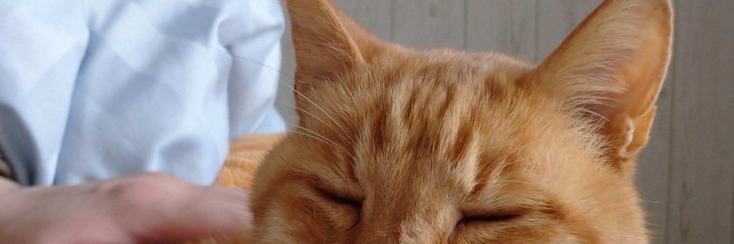 猫谷ぴろむ's banner