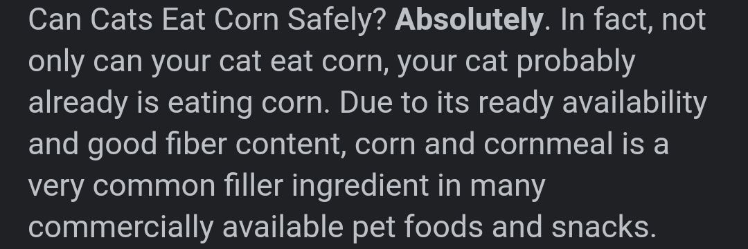 Cats Eating Corn #SaveA11yBots's banner