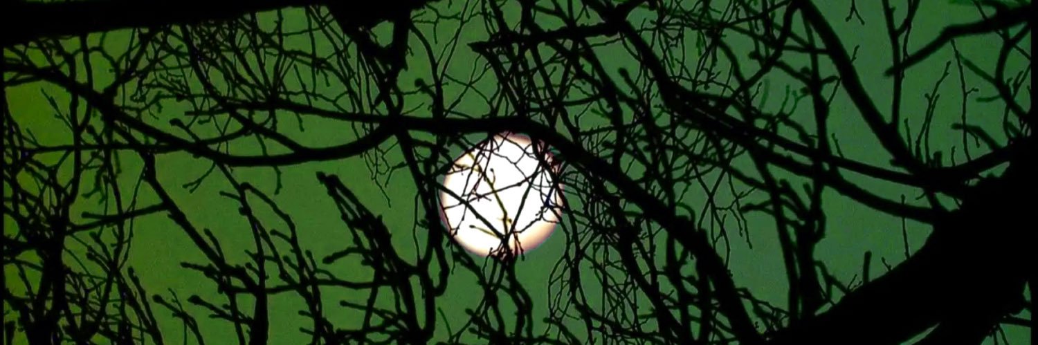 ♌︎ moon222's banner