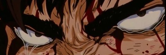 Vash 🌪️'s banner