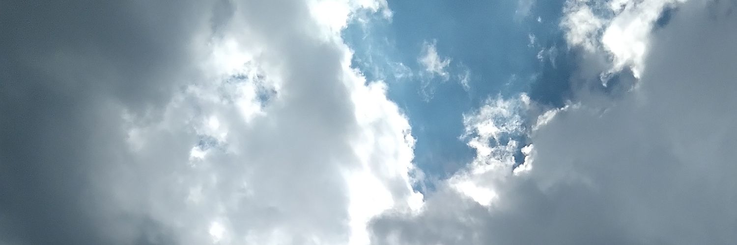 SoftyboiUwU🔞's banner