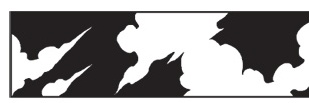 saladCΦmpleat's banner