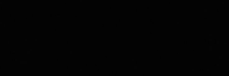 lexus's banner