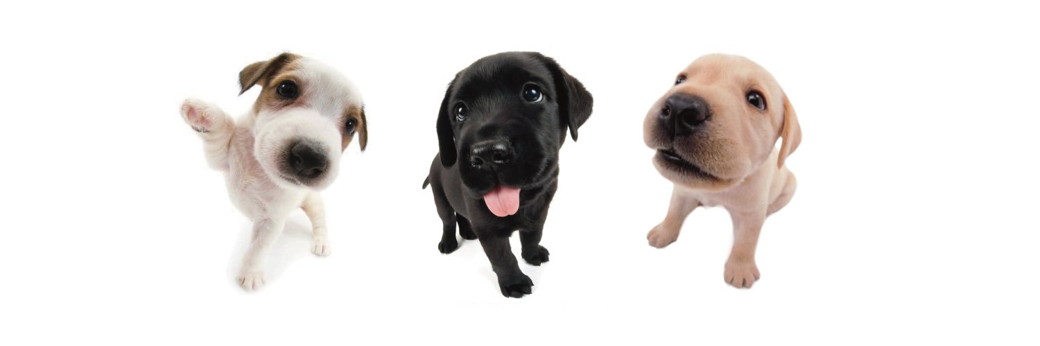 BRIE 🧸🐾 SEEN BTS's banner