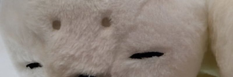 lani ✪'s banner