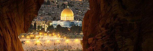 Shahd Mahmoud🦋's banner