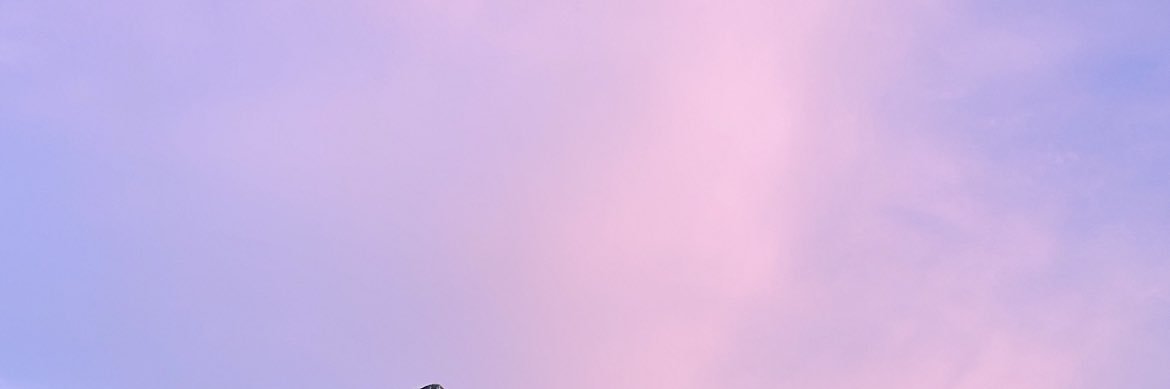 ✸'s banner