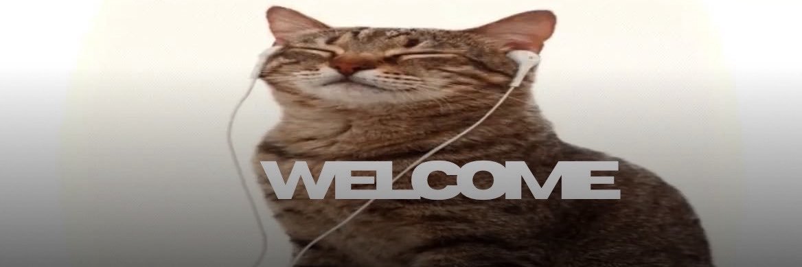 ִ's banner