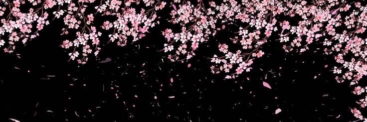romy 💋🪩's banner