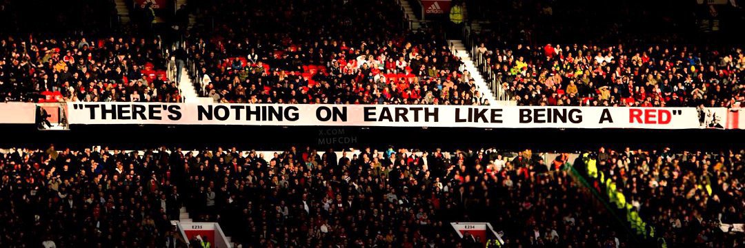 (fan) Leon's banner