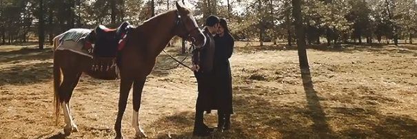 mavi✧'s banner