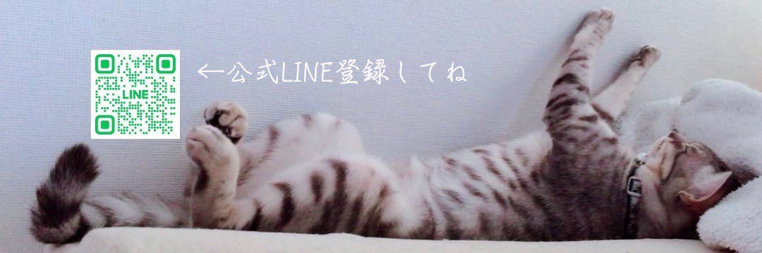 たんぽぽ🌼's banner