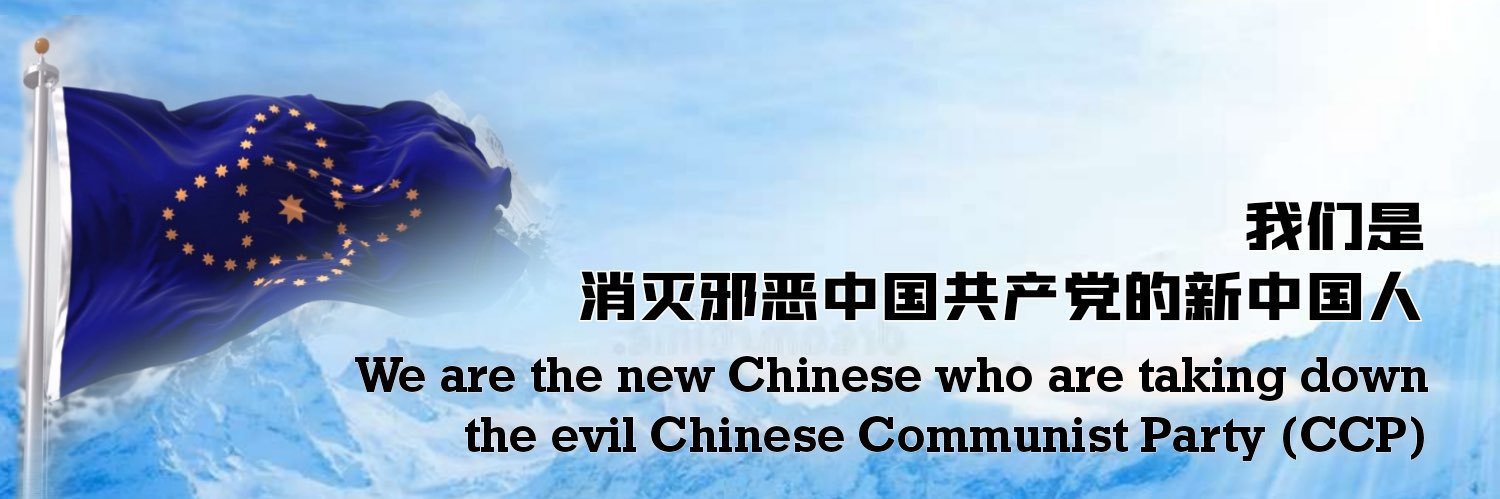 磐石战队's banner