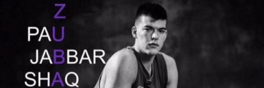 Zubac Stan's banner