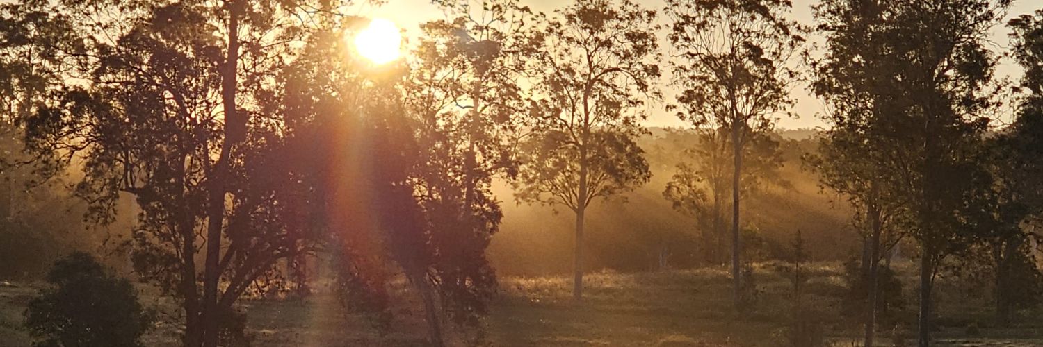 Kelsey Jane 🌾🌿's banner